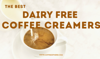 best dairy free coffee creamers