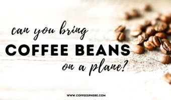 can you bring coffee beans on a plane