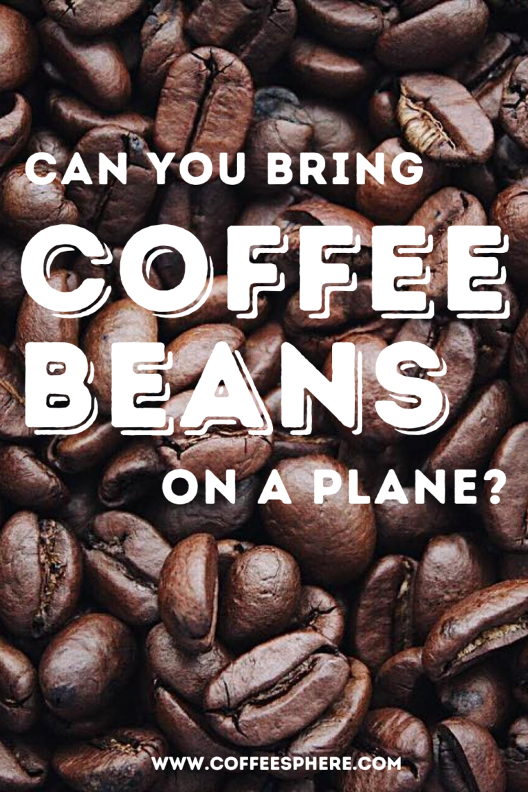 can-you-bring-coffee-beans-on-a-plane-tsa-coffee-beans