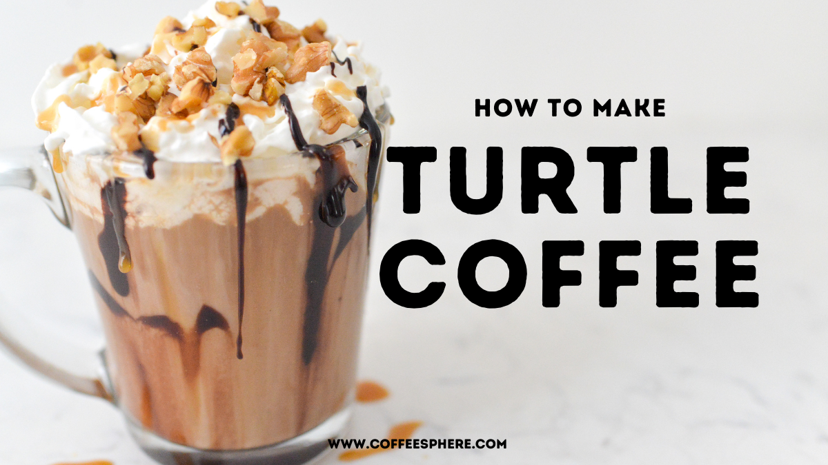 turtle coffee