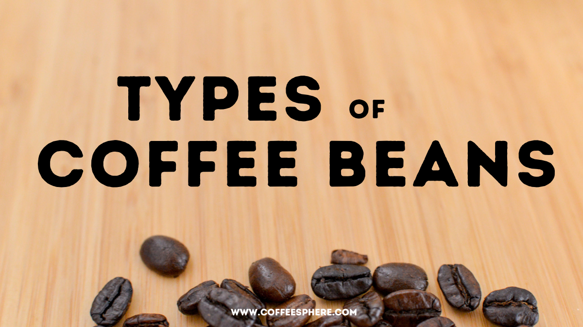 Types Of Coffee Beans 4 Varieties You Need To Know